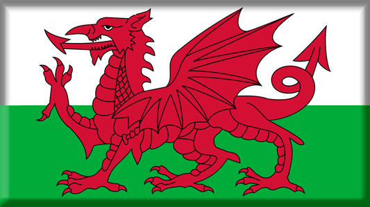 Ddraig Gooch