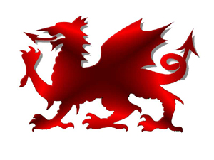 Draig Goch